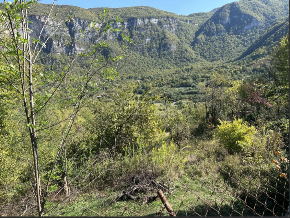 იყიდება სასოფლო-სამეურნეო მიწის ნაკვეთი ცაგერში